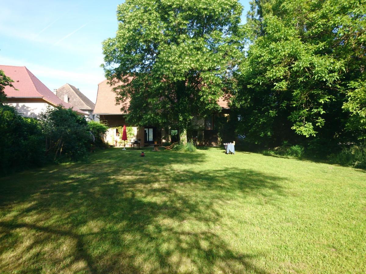 Grange Renovee Et Son Jardin Dans L'Avant Pays Savoyard Champagneux Extérieur photo